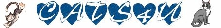 Cats4U website banner