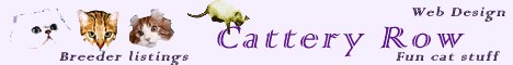 Cattery Row website banner