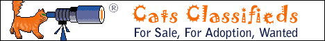 Cattery Search website banner
