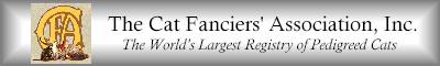 C.F.A. website banner