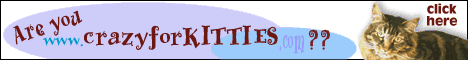 Crazy For Kitties website banner