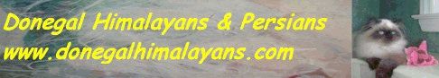 Donegal Himalayan website banner