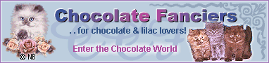 Chocolatecats website banner
