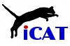  International Cat Agility Website banner