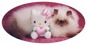 kitten snuggling with teddy bear