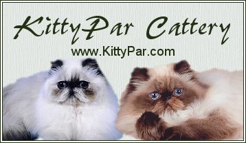 Kitty Parr Cattery website banner