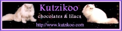 Kutzikoo Cattery website banner