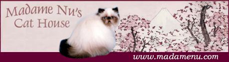 Madame Nu Cattery Websitebanner