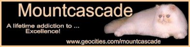 Mountcascade Cattery website banner