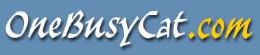 One Busy Cat website banner