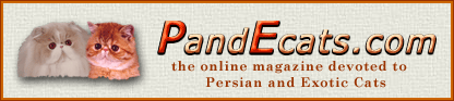 Pandecats website banner