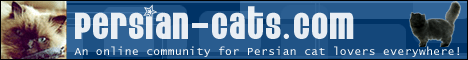 Persian-Cats website banner