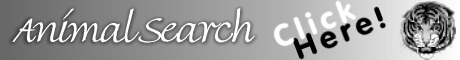 Animal Search website banner