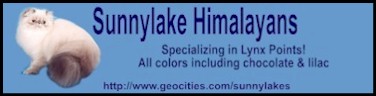 Sunnylake Cattery website banner
