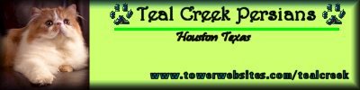 Teal Creek Cattery website banner