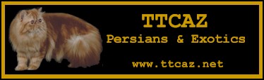 TTCAZ Cattery website banner